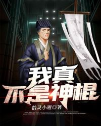 我真不是神经病小说